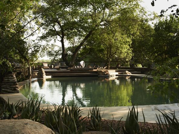 Singita Boulders Lodge - Pool 